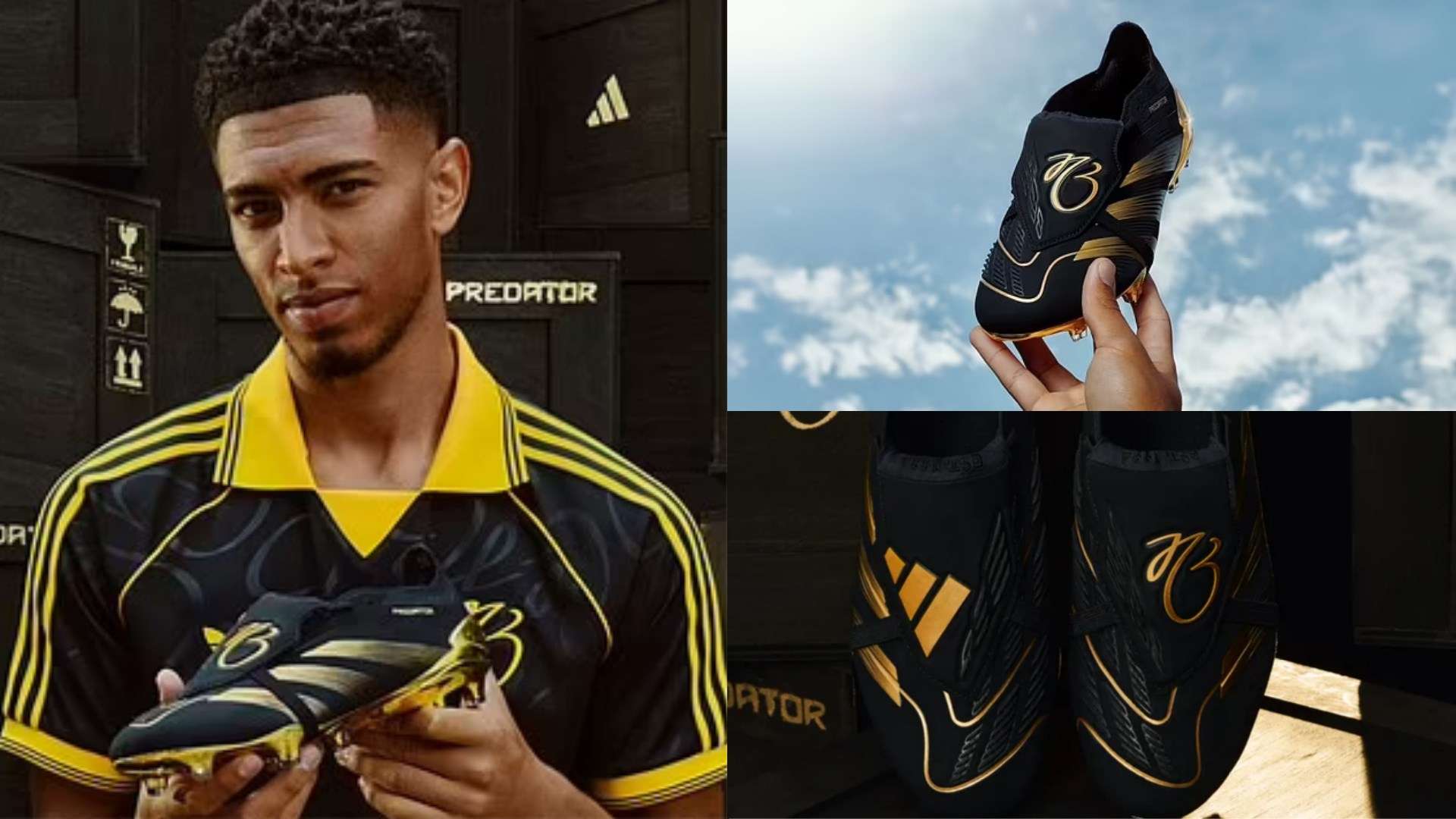 老年人继续 老年人继续