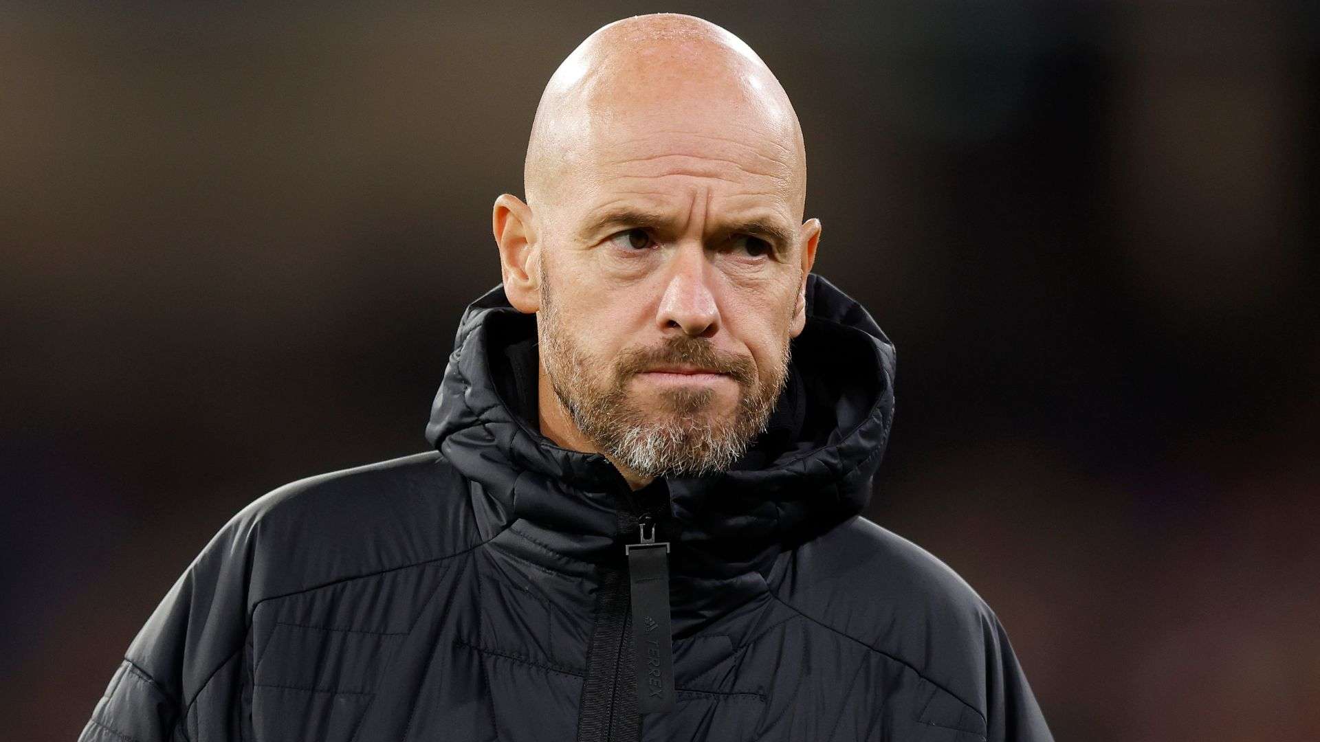 熟稳重的球 熟稳重的球