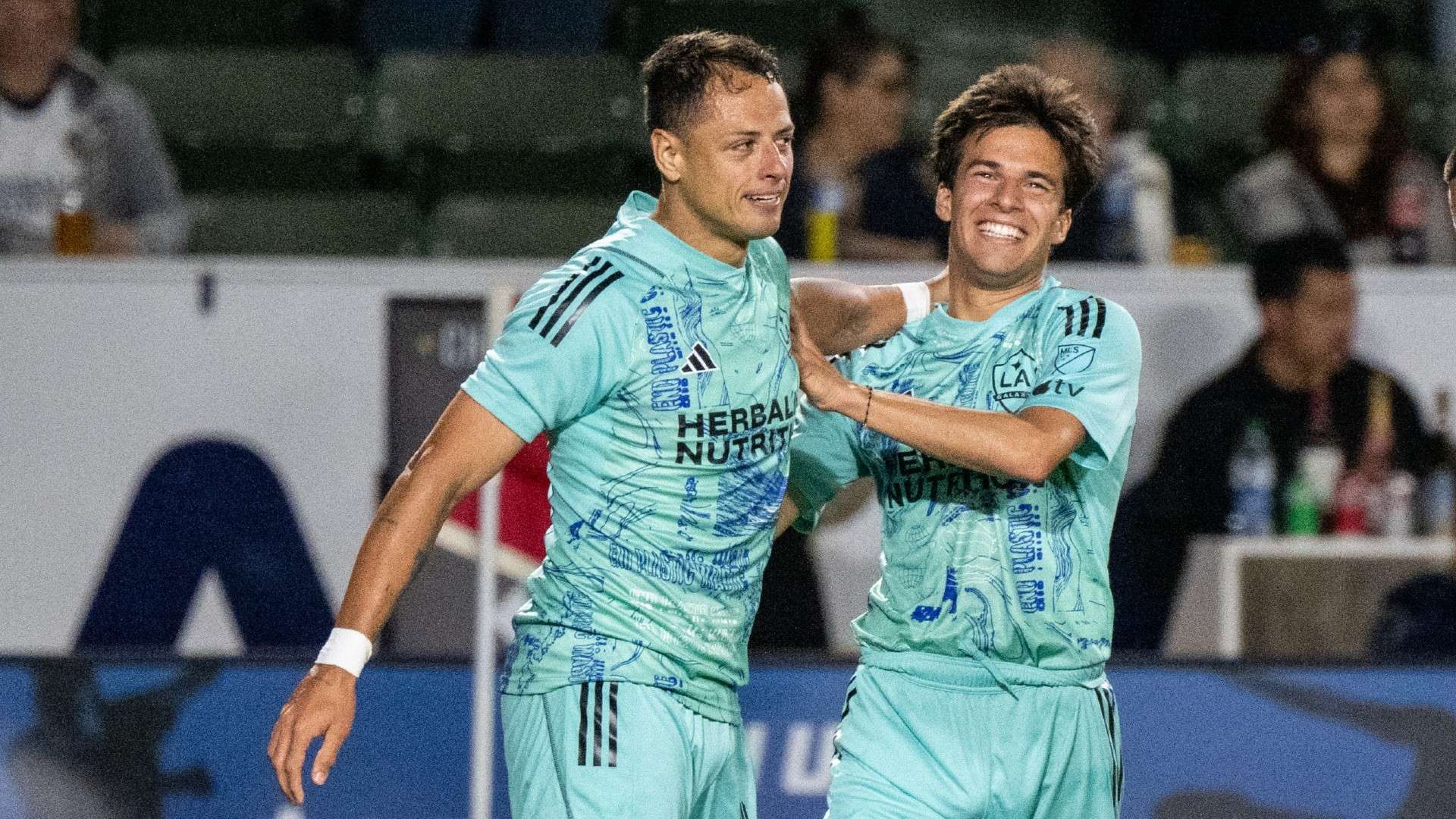 毛球未来的 毛球未来的